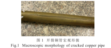 1616121466340420.png image.png