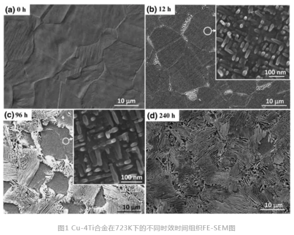 1645064956233324.png image.png