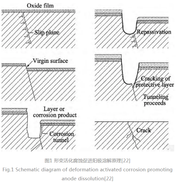 1645150924796031.png image.png