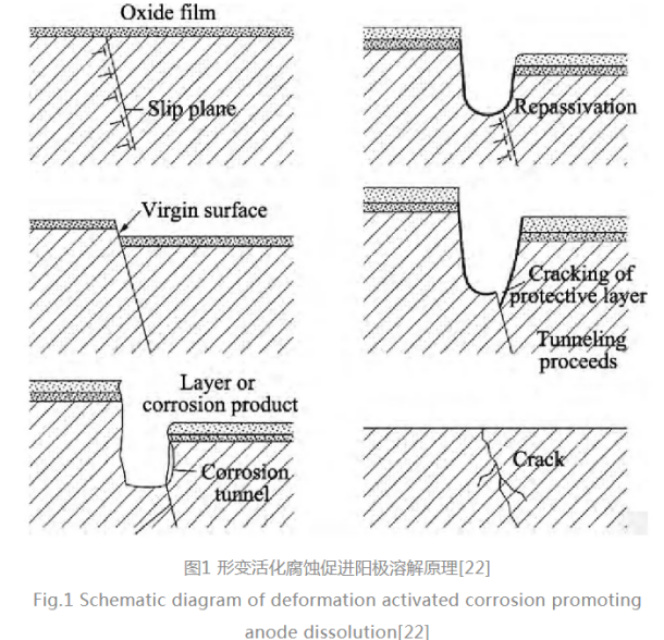 1645152702464584.png image.png